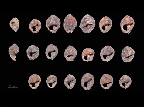 Jewellery History #1: The First Jewellery Ever Made